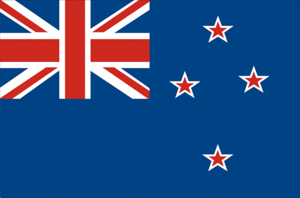 NZ3